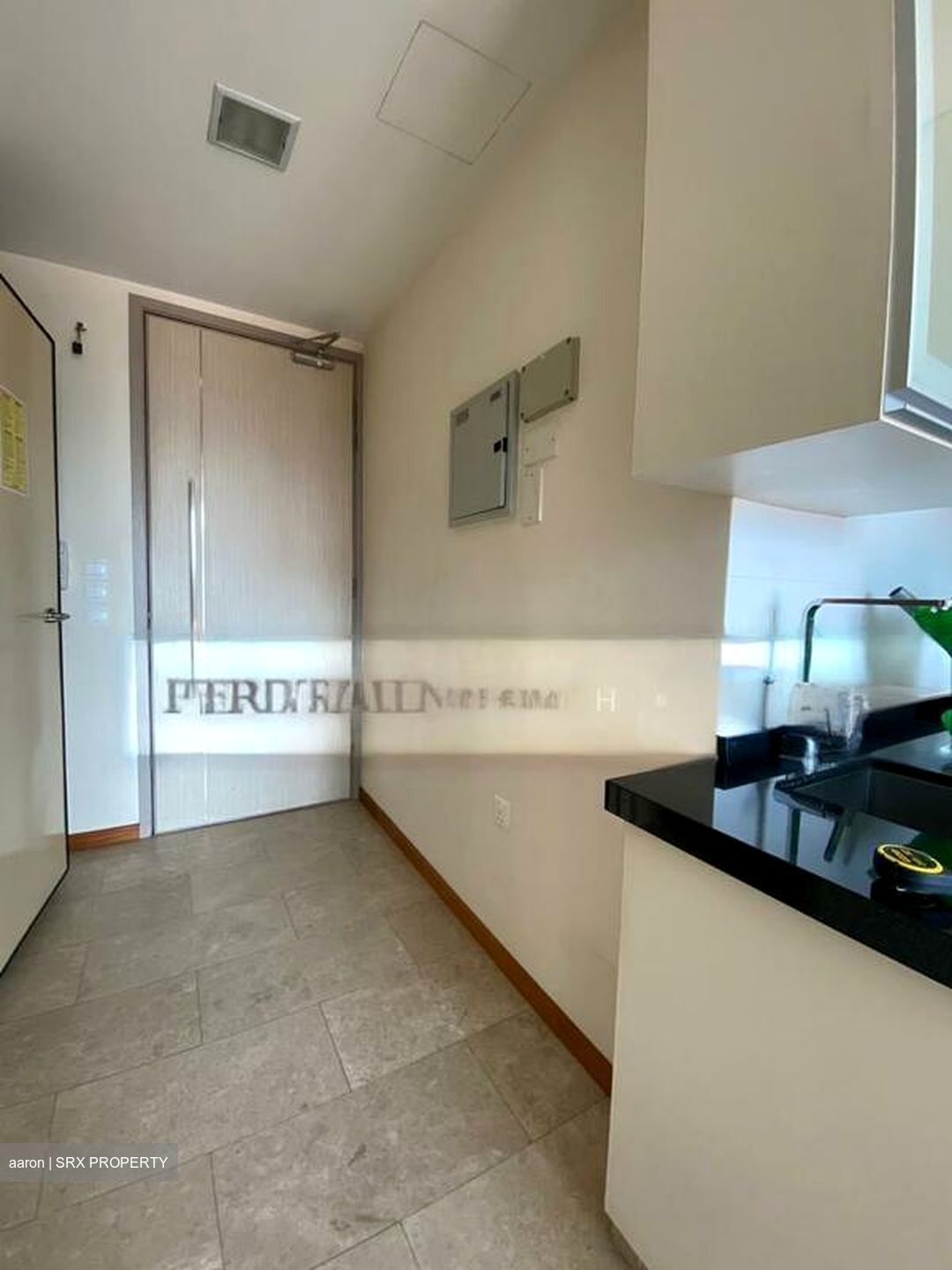 Opal Suites (D12), Apartment #502472081